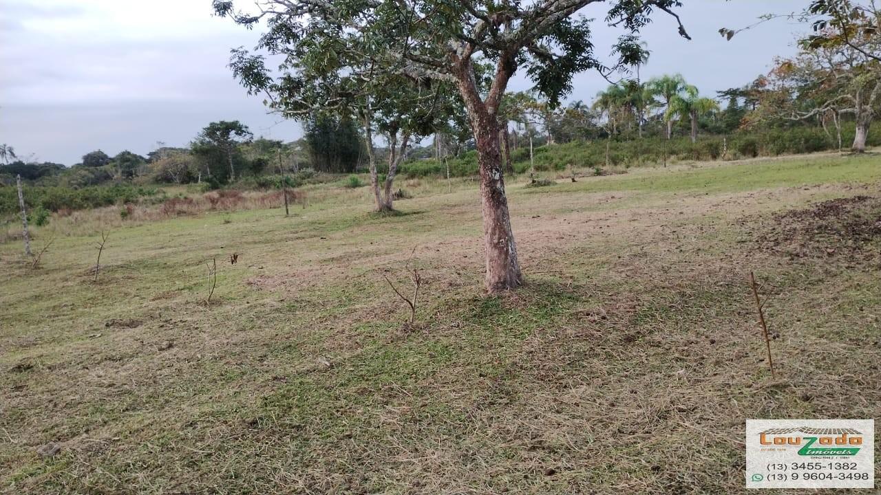 Terreno, 48 hectares - Foto 14