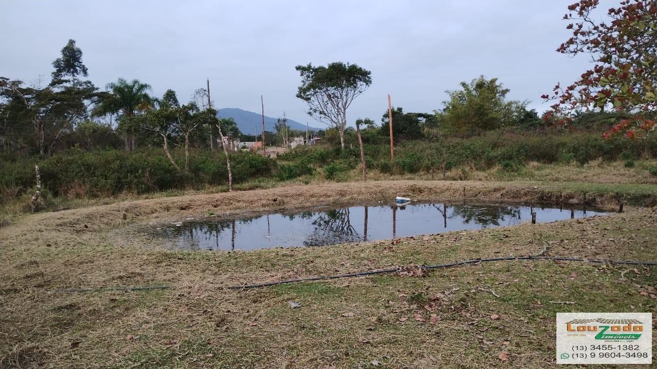 Terreno, 48 hectares - Foto 11