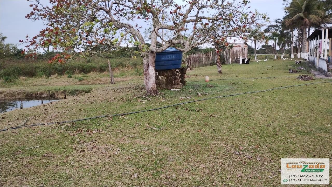 Terreno, 48 hectares - Foto 13