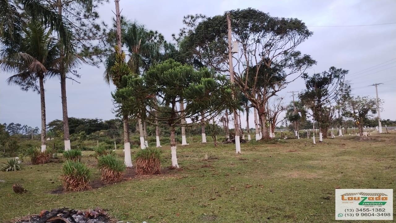 Terreno, 48 hectares - Foto 15