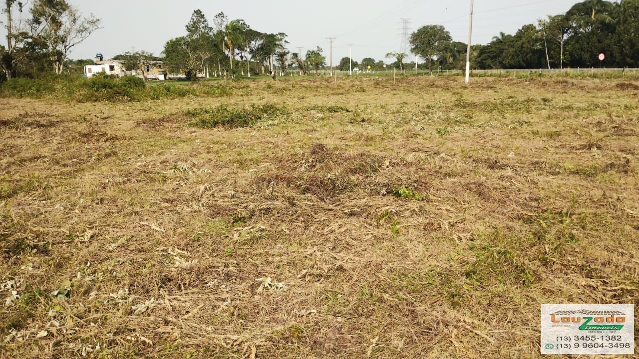 Terreno, 48 hectares - Foto 18