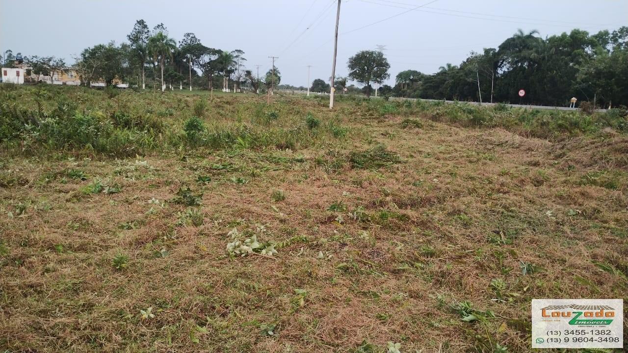 Terreno, 48 hectares - Foto 21