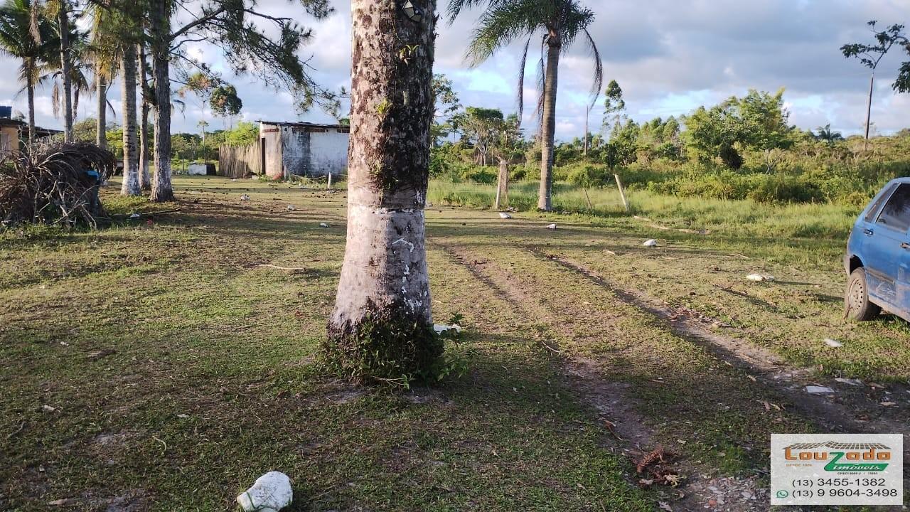 Terreno, 48 hectares - Foto 24