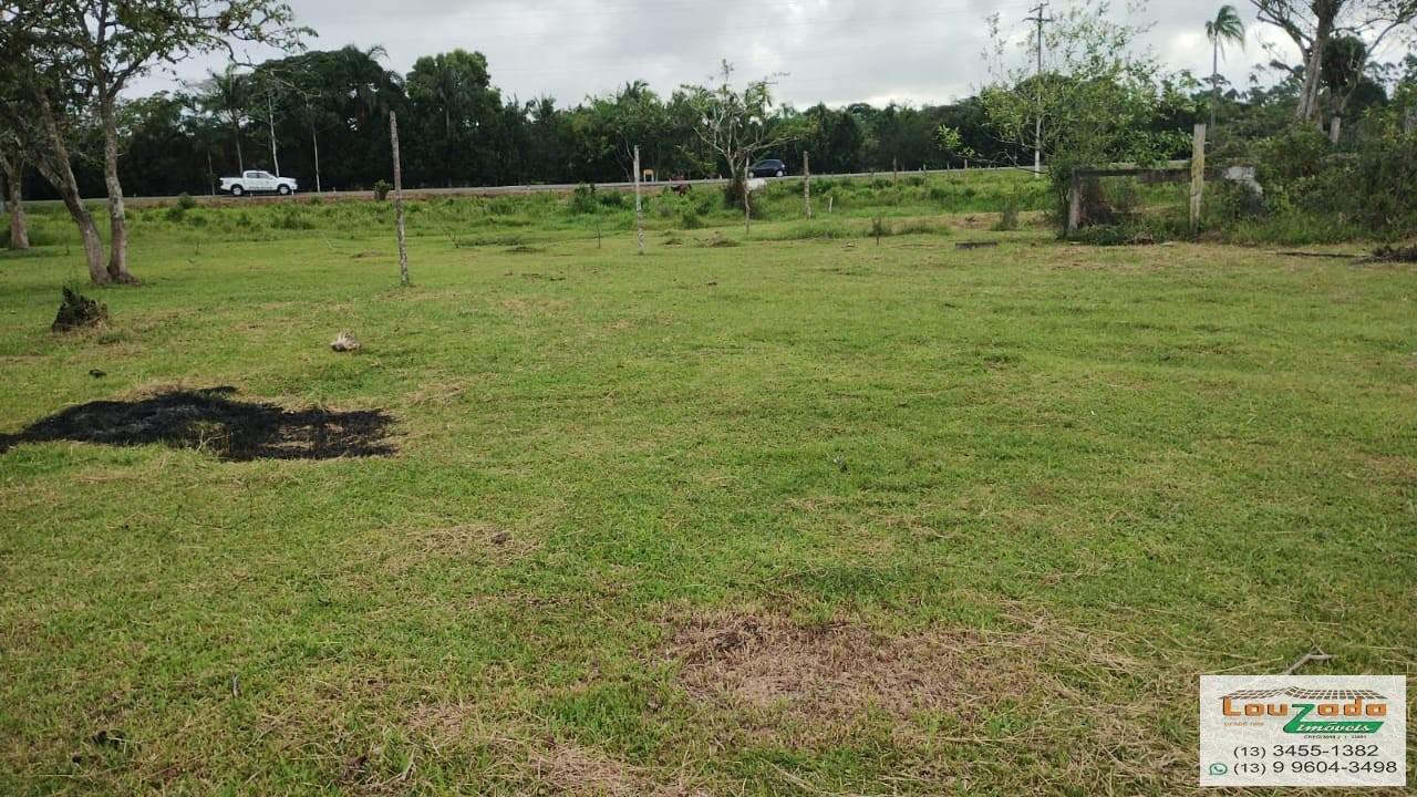 Terreno, 48 hectares - Foto 23