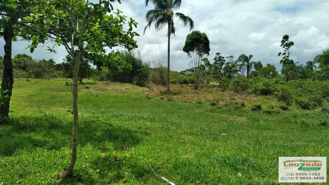 Terreno, 48 hectares - Foto 26