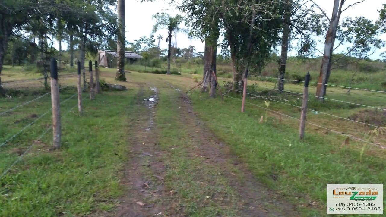 Terreno, 48 hectares - Foto 27