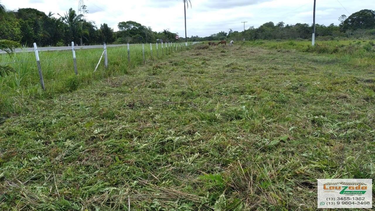 Terreno, 48 hectares - Foto 25