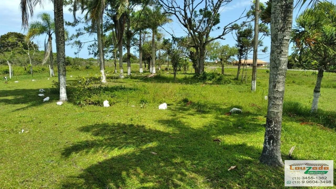 Terreno, 48 hectares - Foto 2