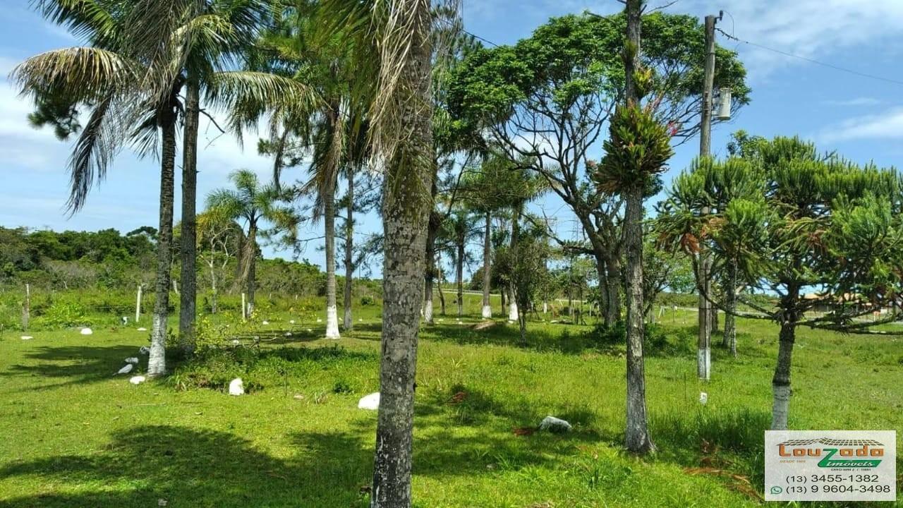 Terreno, 48 hectares - Foto 29