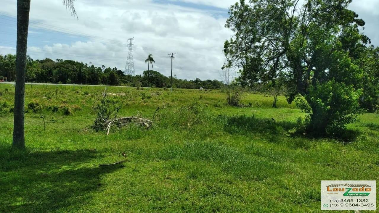 Terreno, 48 hectares - Foto 33