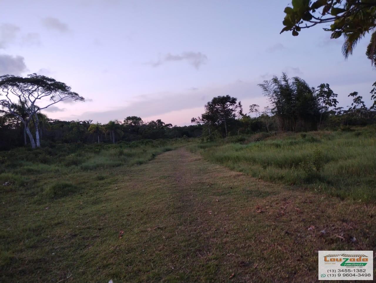 Terreno, 48 hectares - Foto 37