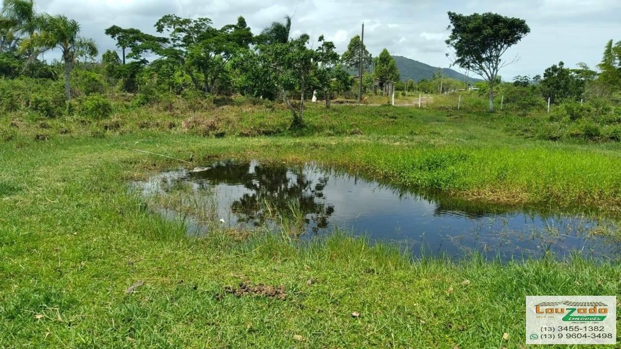 Terreno, 48 hectares - Foto 42