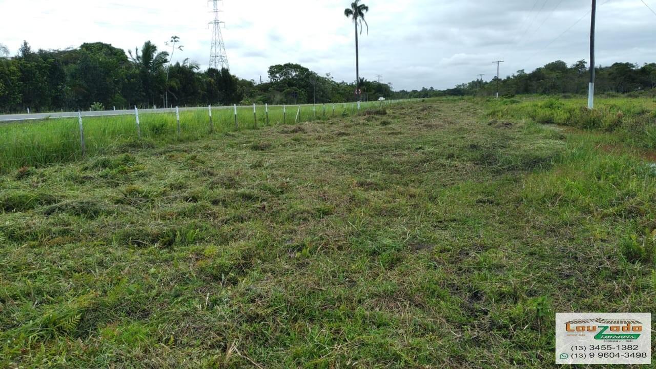 Terreno, 48 hectares - Foto 39