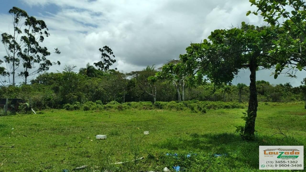 Terreno, 48 hectares - Foto 48