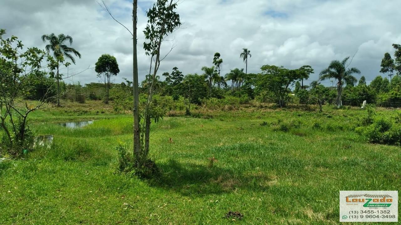 Terreno, 48 hectares - Foto 44