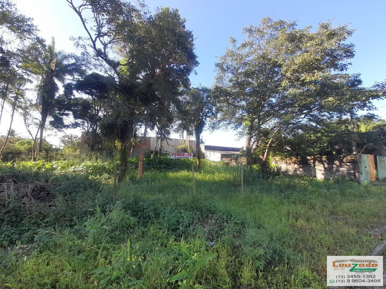 Terreno, 300 m² - Foto 2