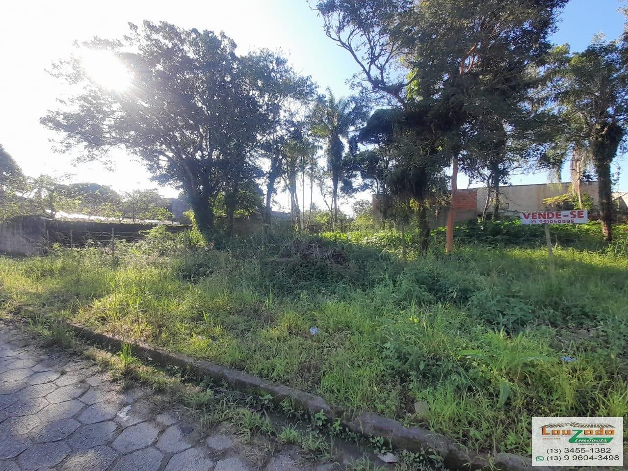 Terreno, 300 m² - Foto 4