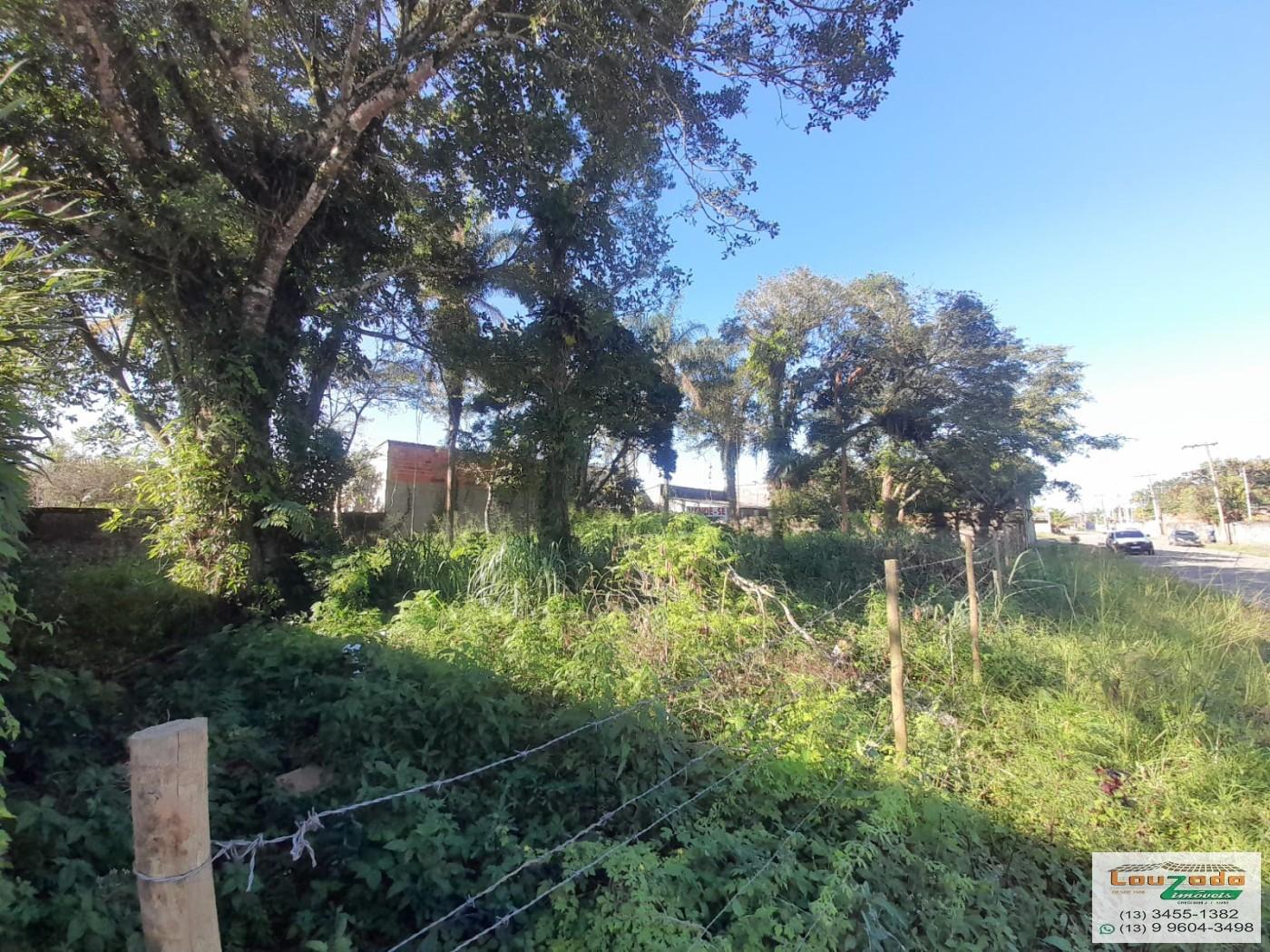 Terreno, 300 m² - Foto 3