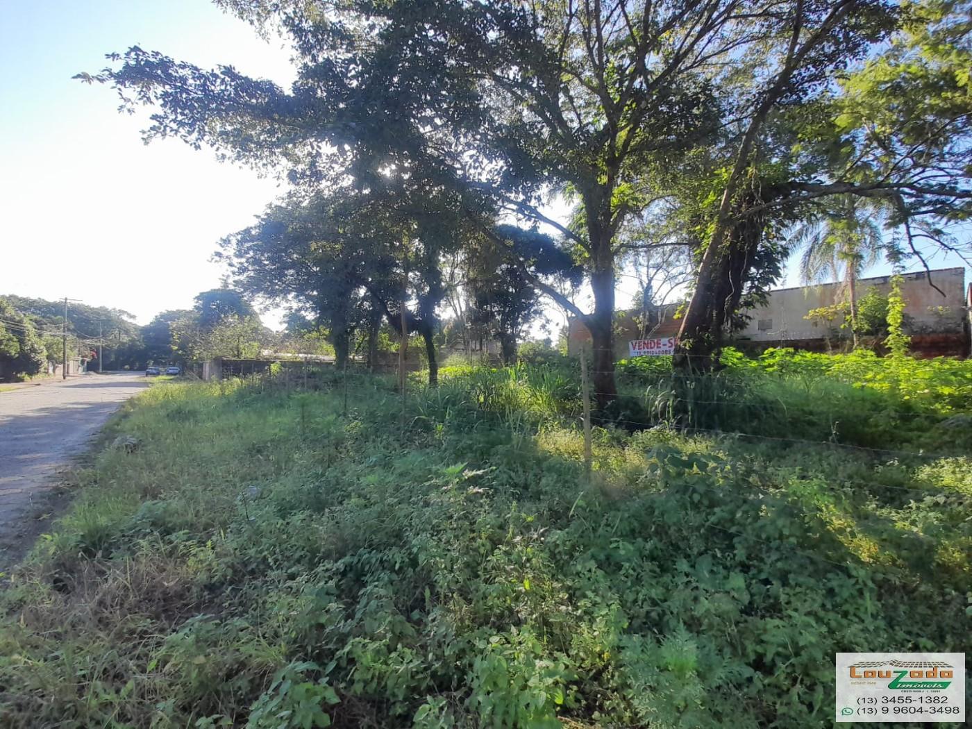 Terreno, 300 m² - Foto 4