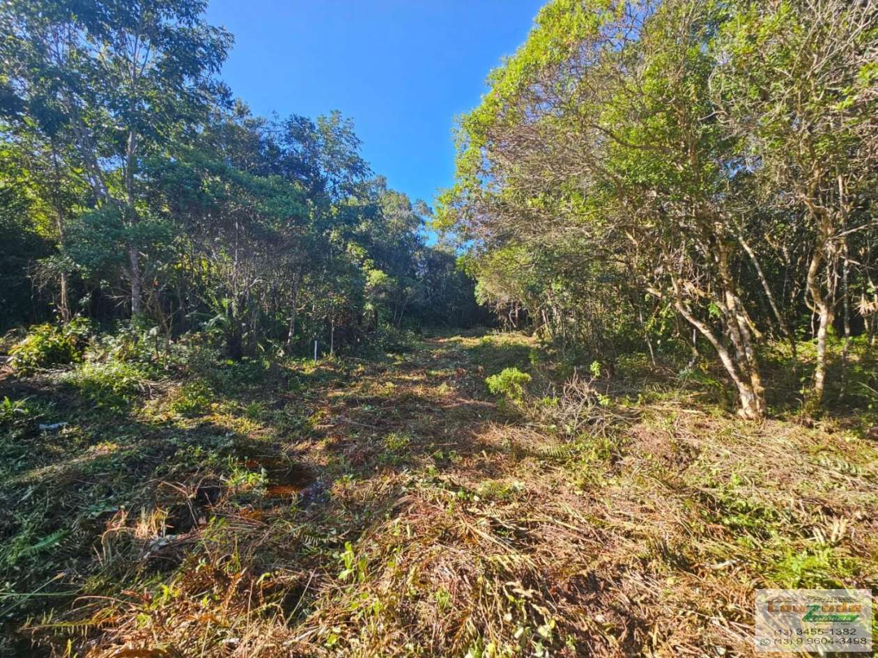 Terreno, 308 m² - Foto 1