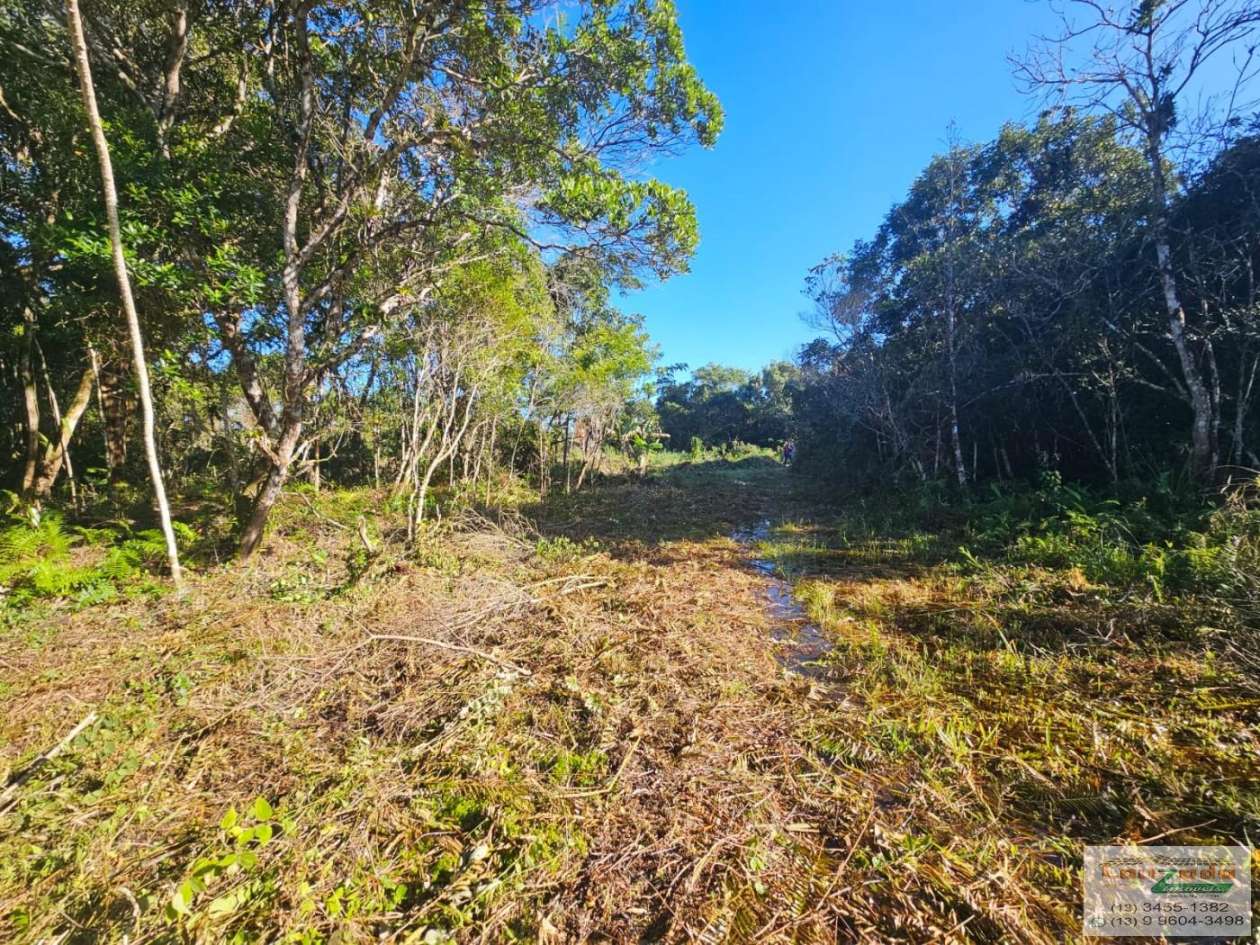 Terreno, 308 m² - Foto 4