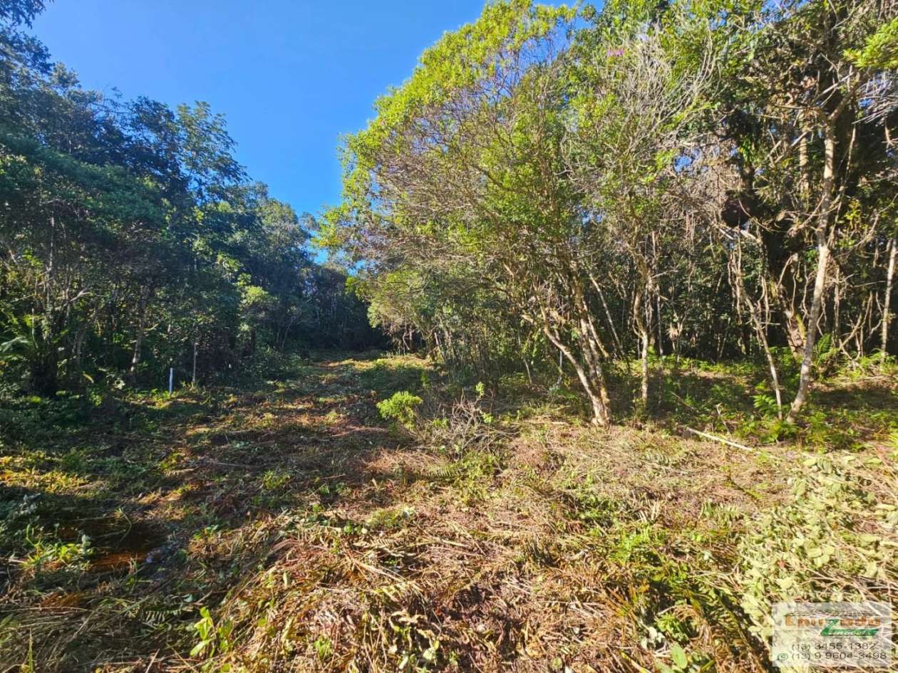 Terreno, 308 m² - Foto 2