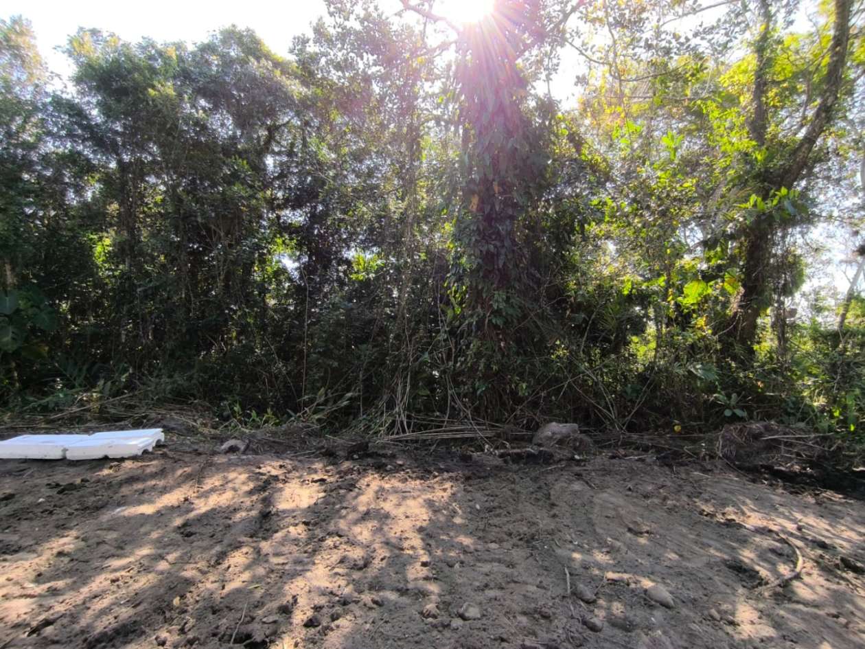 Terreno, 300 m² - Foto 2