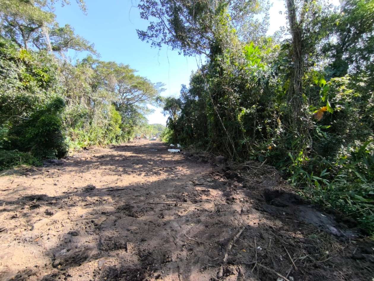 Terreno, 300 m² - Foto 7