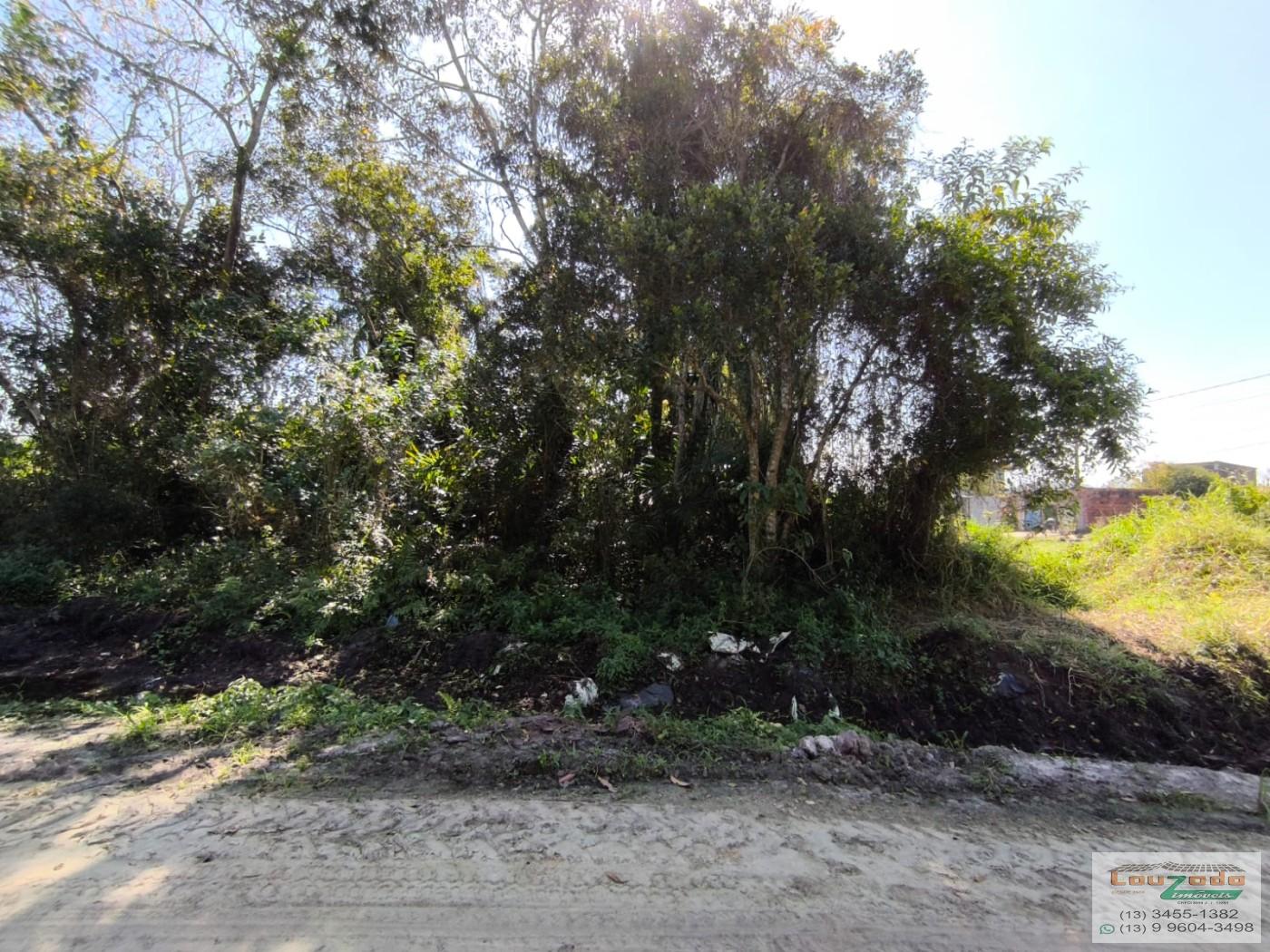 Terreno, 300 m² - Foto 2