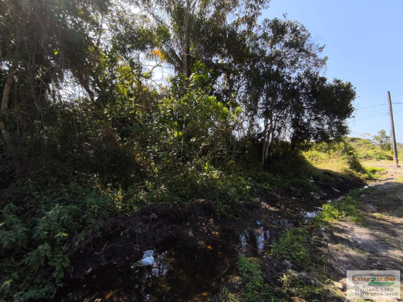 Terreno, 300 m² - Foto 5