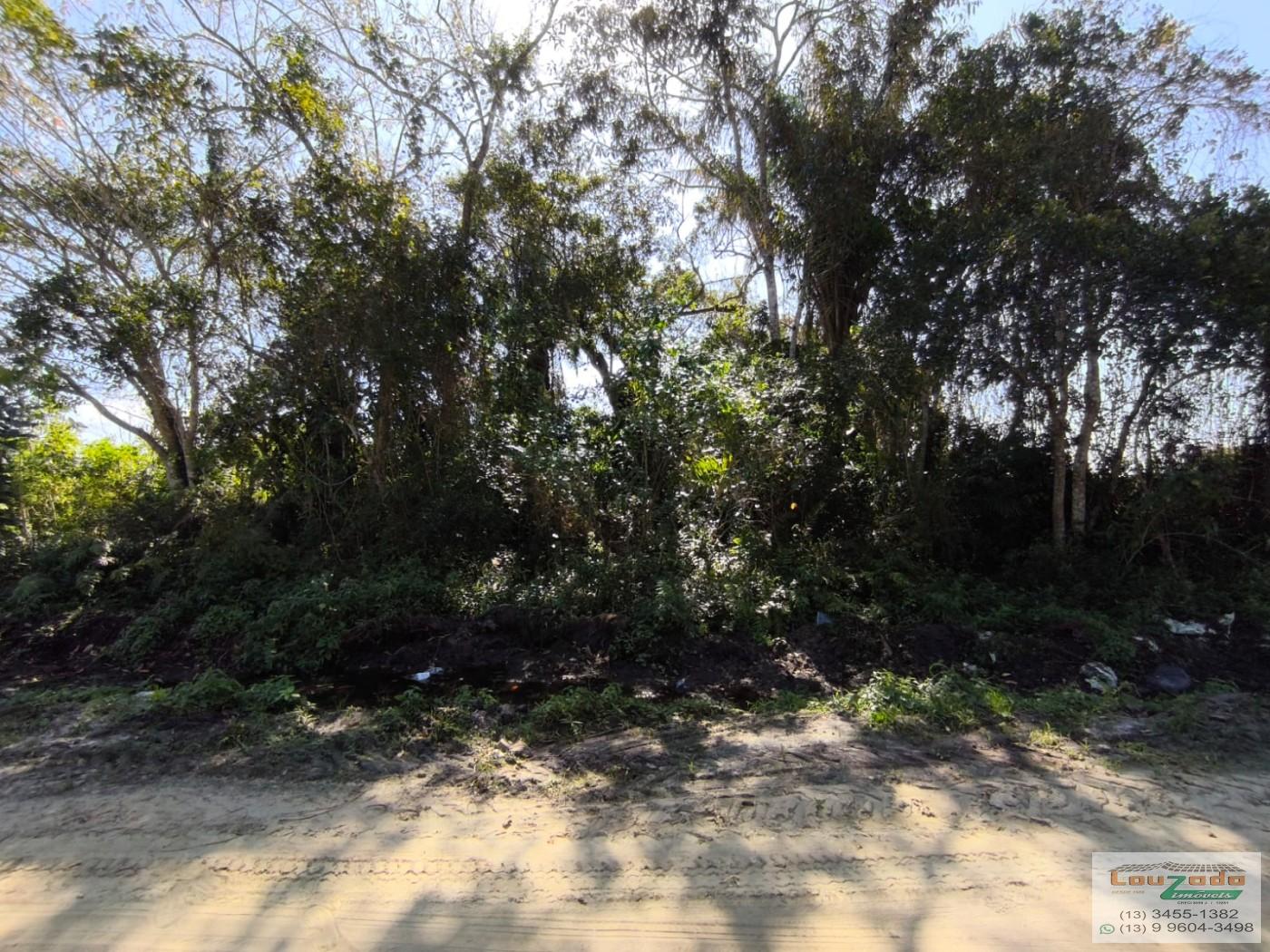 Terreno, 300 m² - Foto 1