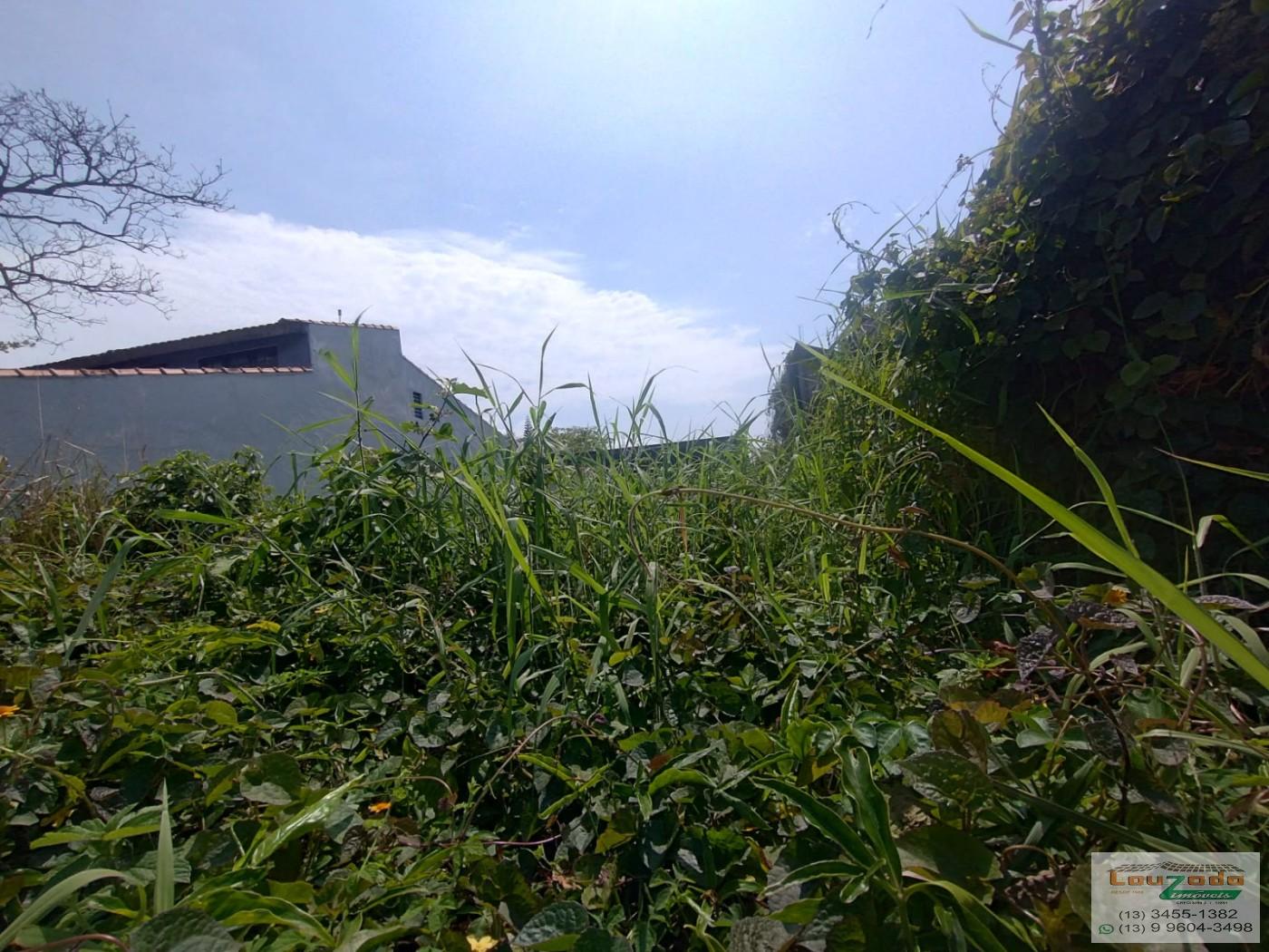 Terreno, 295 m² - Foto 3