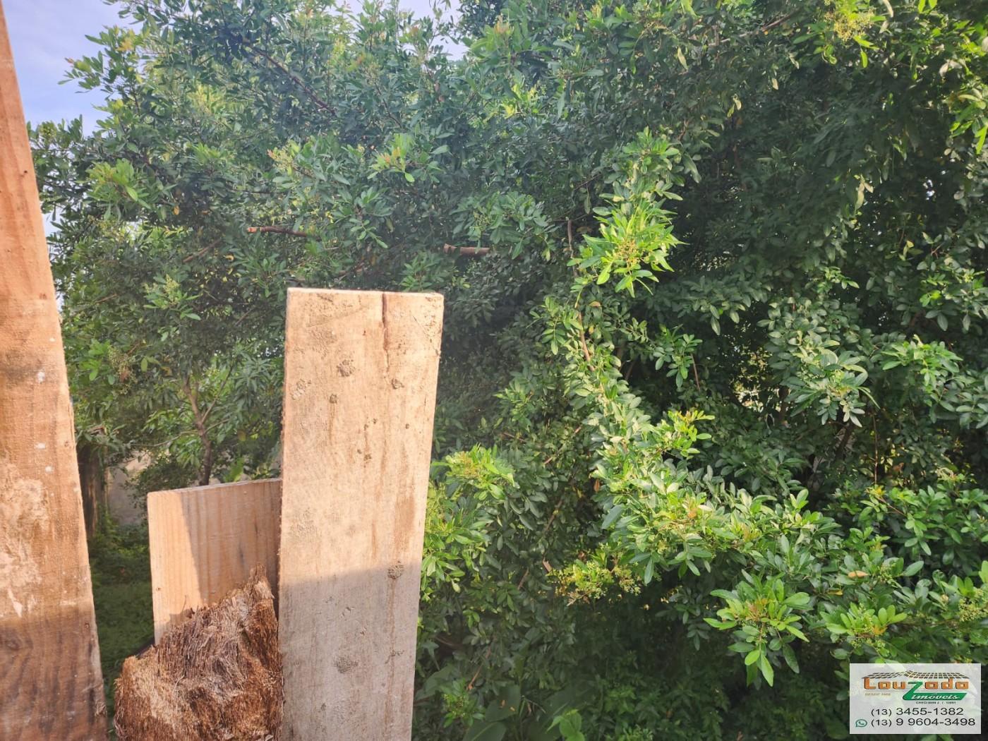 Terreno, 360 m² - Foto 3