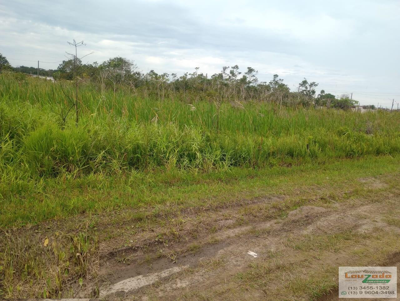 Terreno, 250 m² - Foto 2