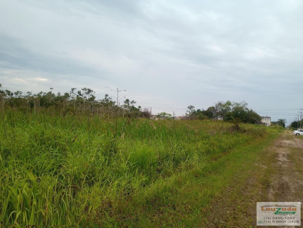 Terreno, 250 m² - Foto 4