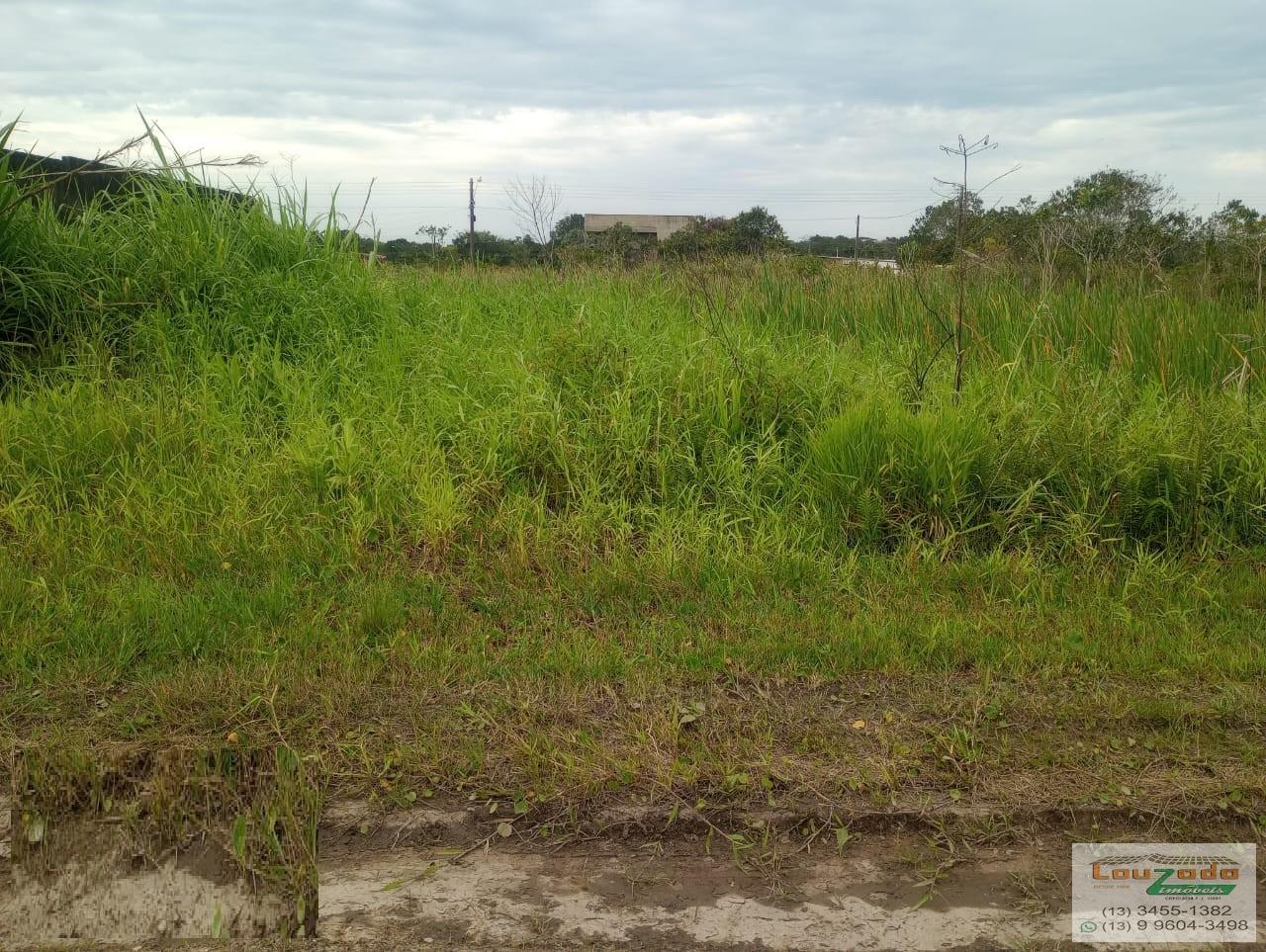 Terreno, 250 m² - Foto 1