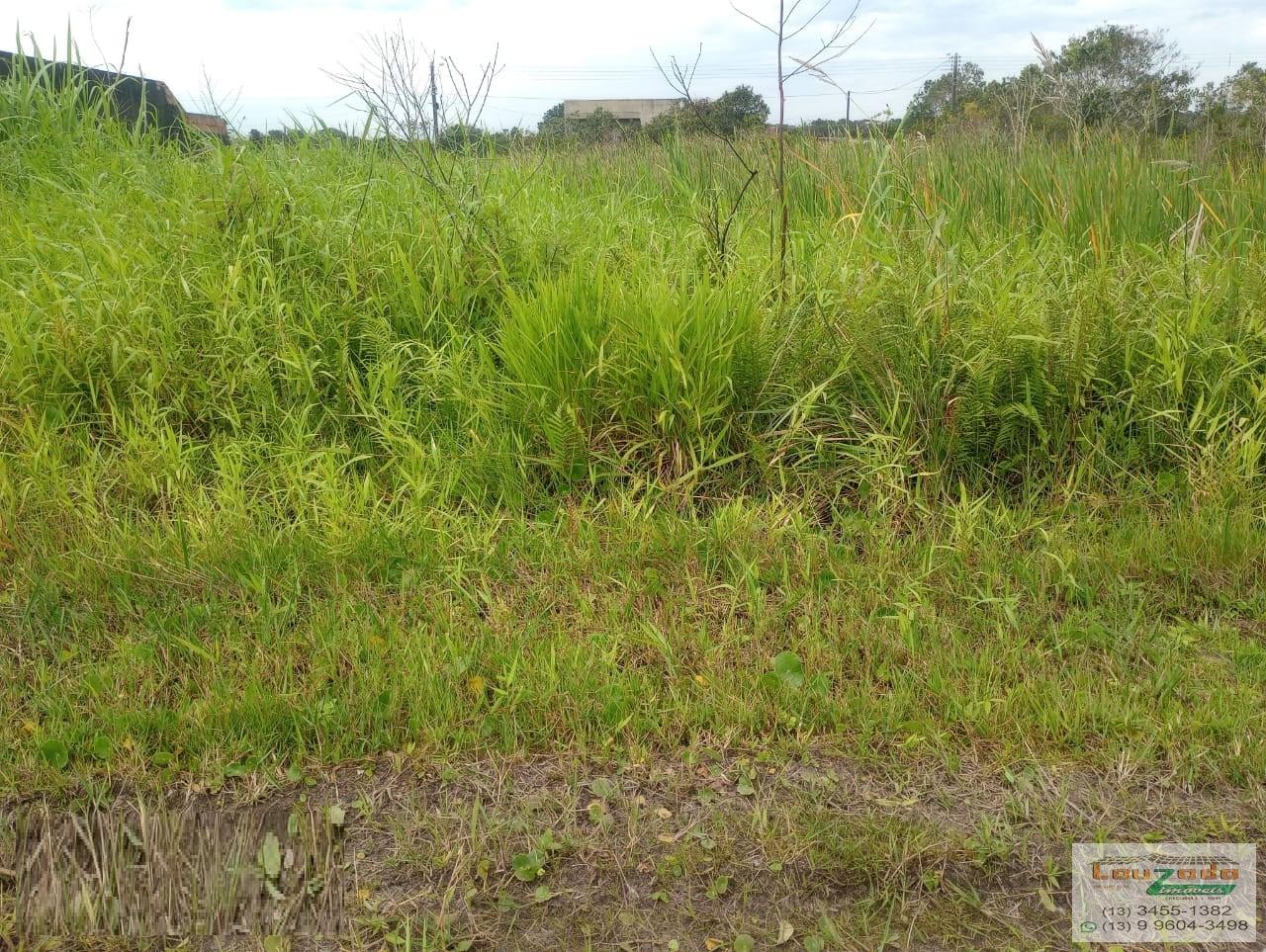 Terreno, 250 m² - Foto 3