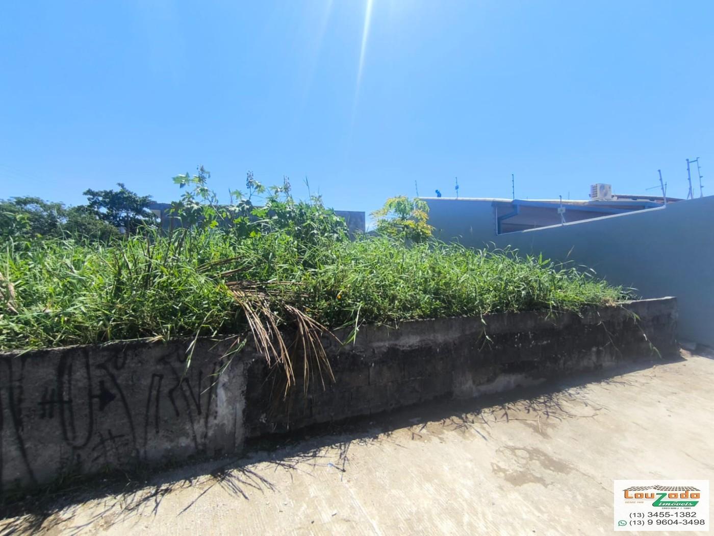 Terreno, 250 m² - Foto 3