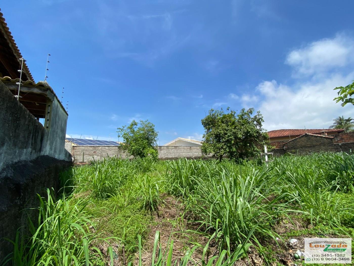 Terreno, 313 m² - Foto 4