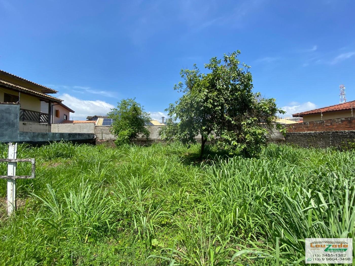 Terreno, 313 m² - Foto 5