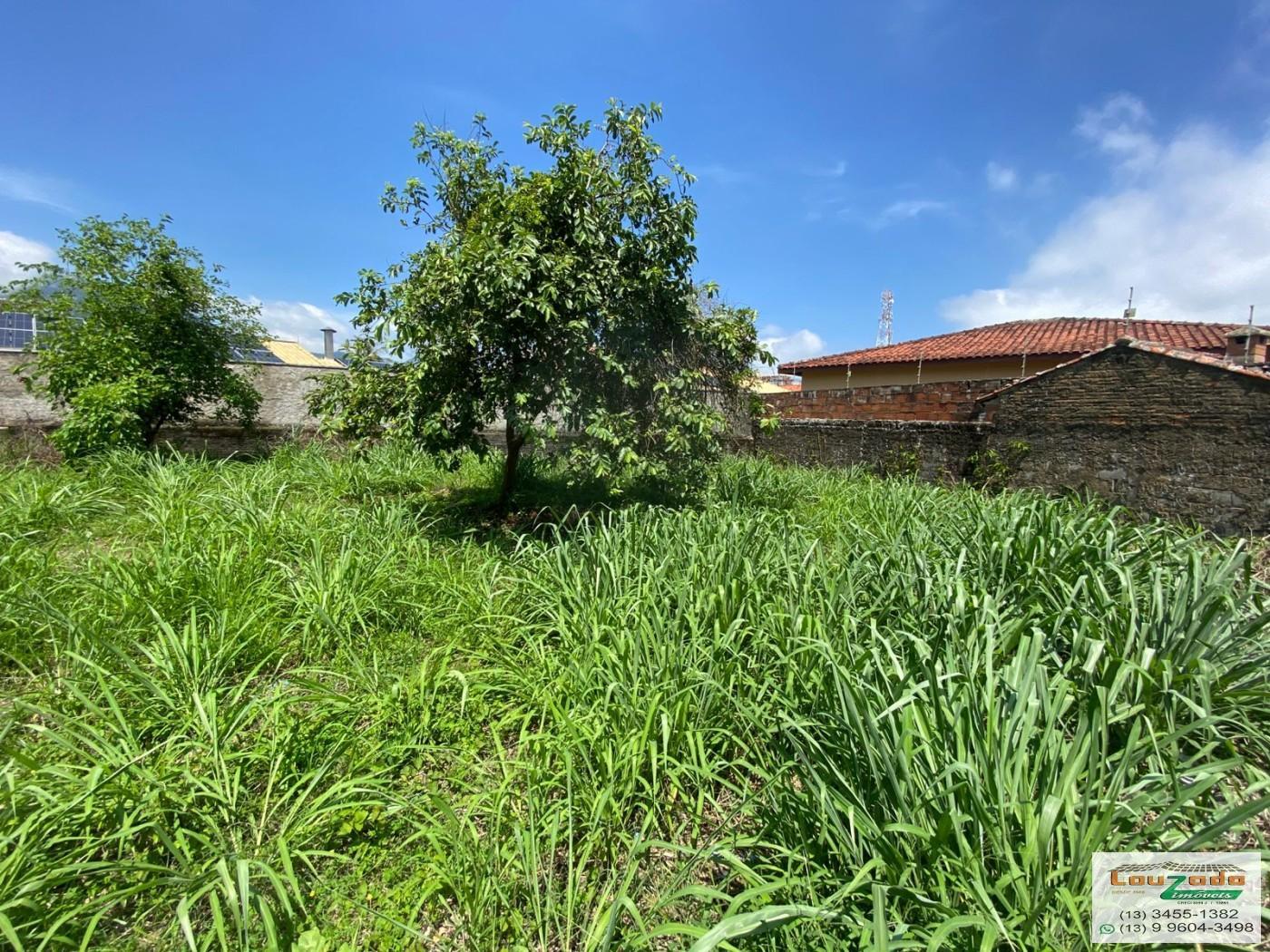 Terreno, 313 m² - Foto 7