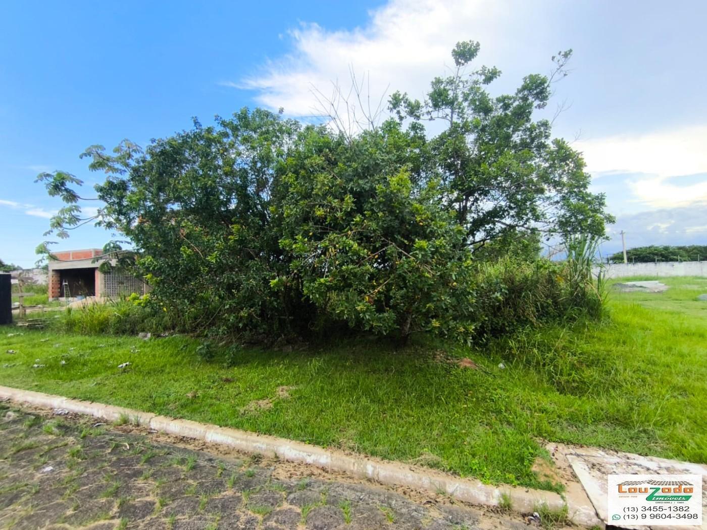 Terreno, 1106 m² - Foto 2