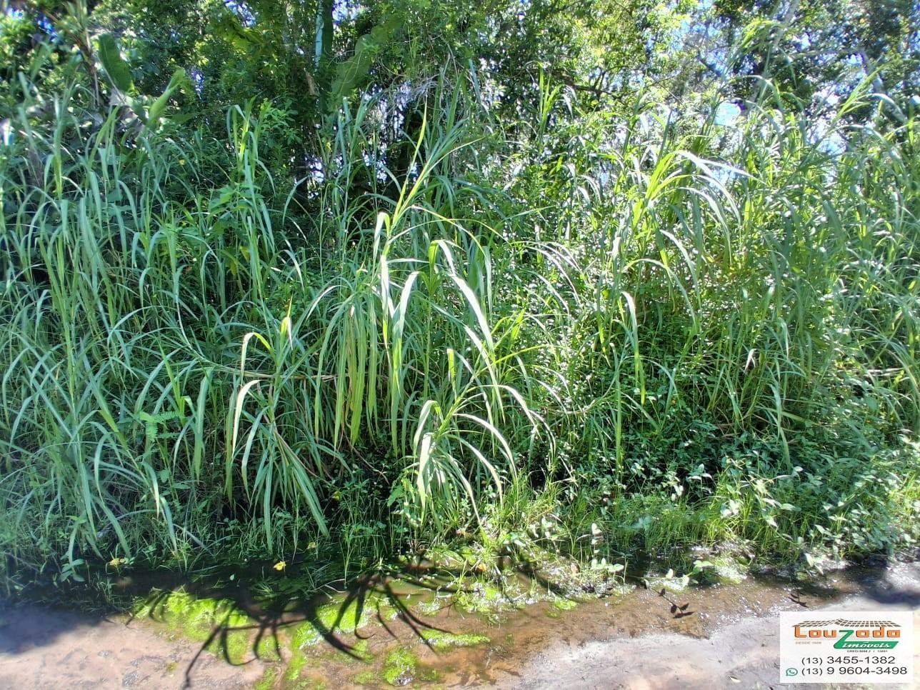 Terreno, 265 m² - Foto 1