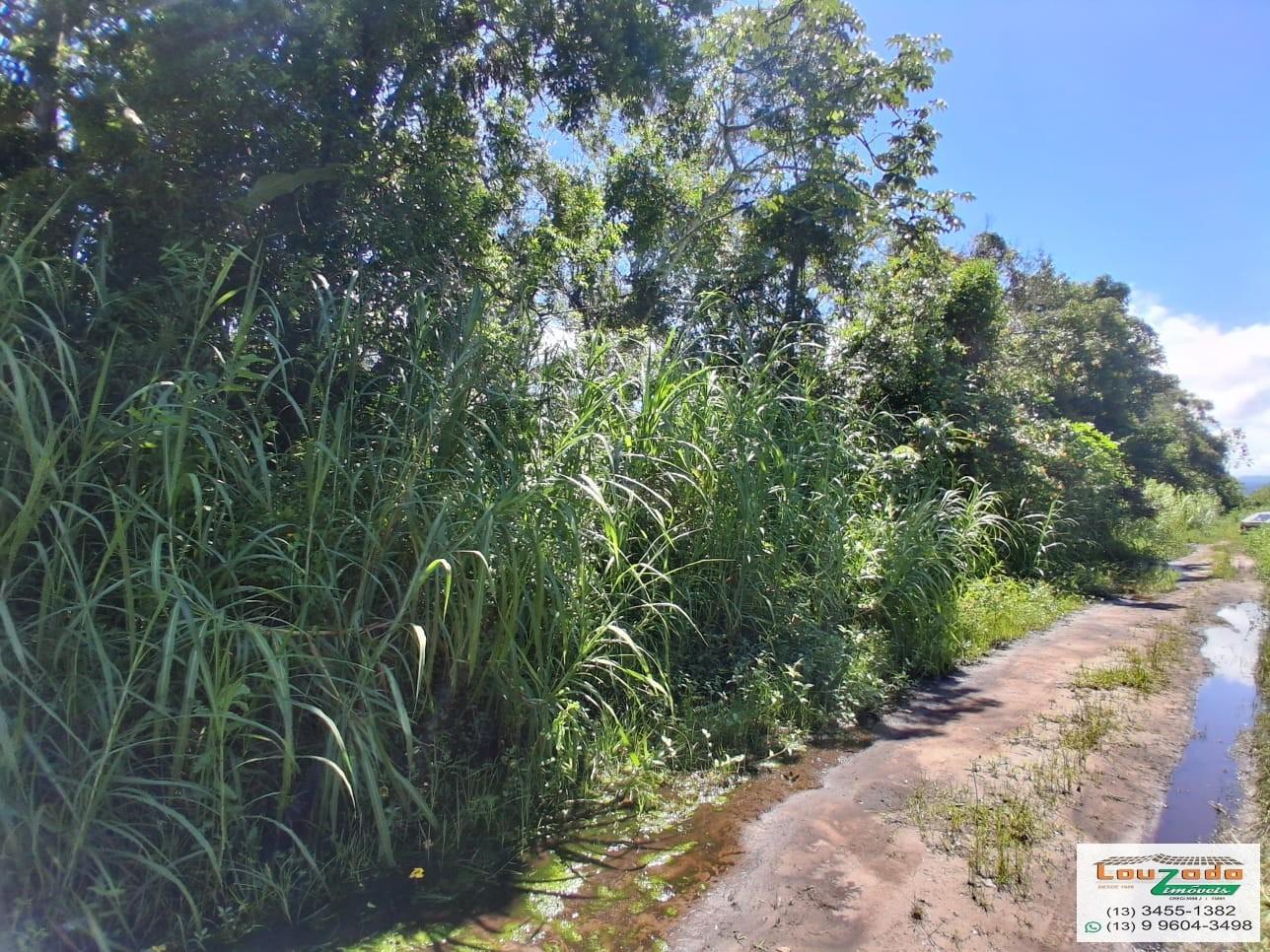 Terreno, 265 m² - Foto 2