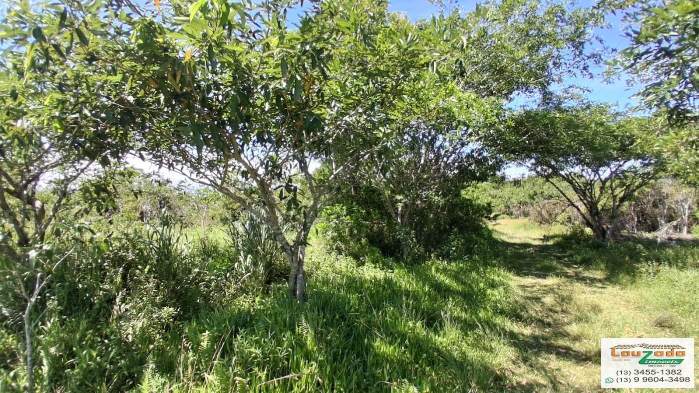 Terreno, 252 m² - Foto 1