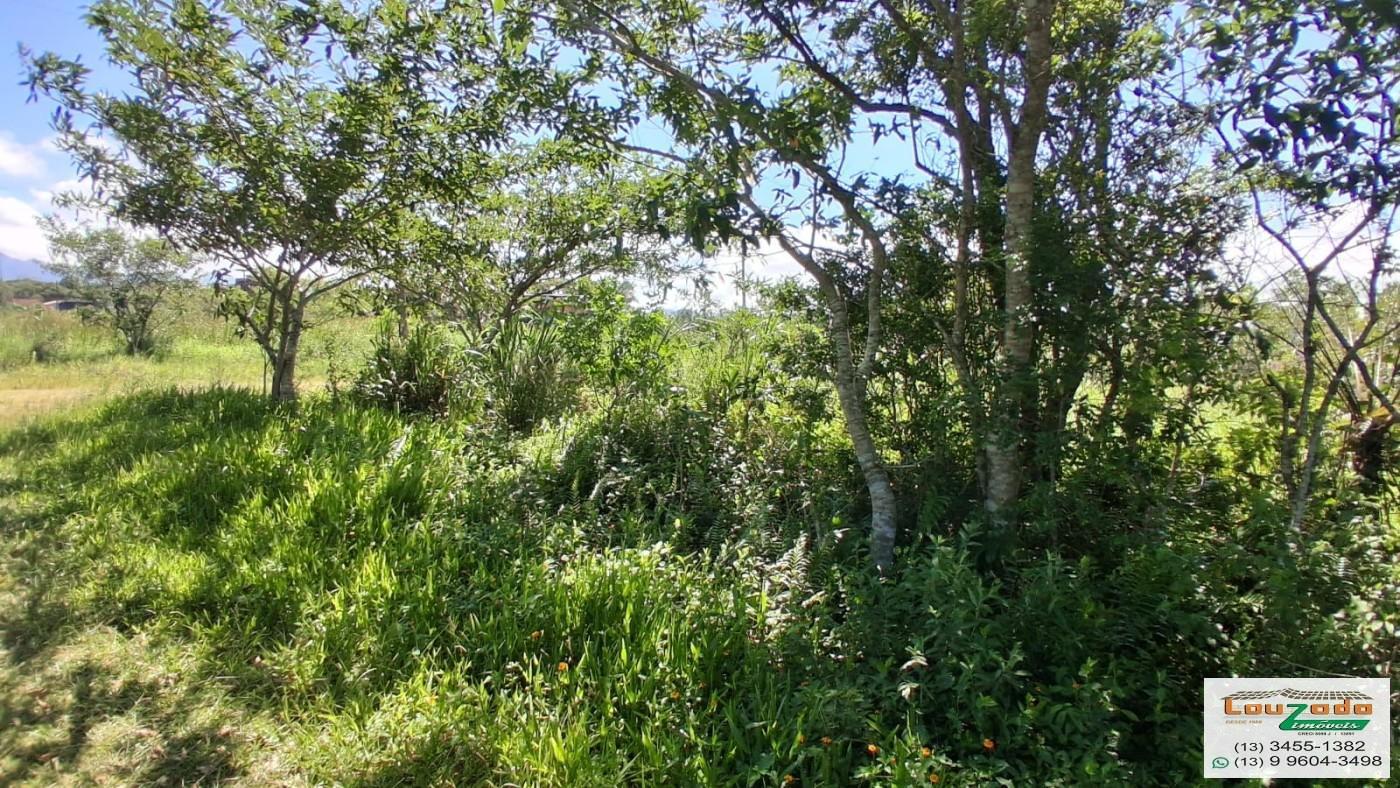 Terreno, 252 m² - Foto 2