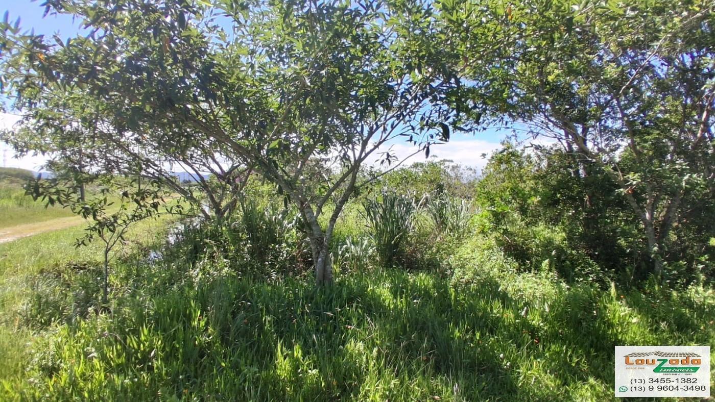 Terreno, 252 m² - Foto 3