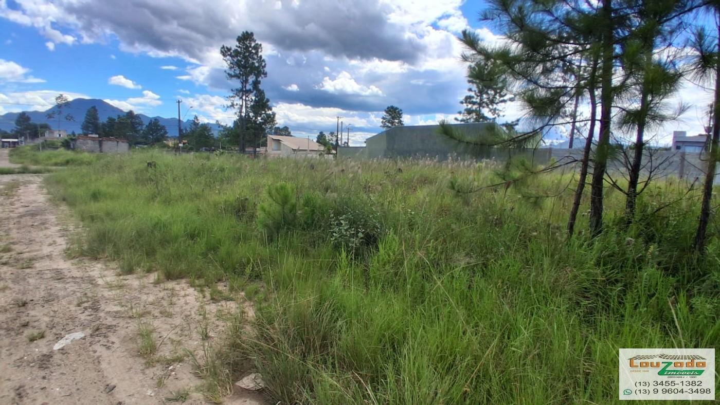 Terreno, 250 m² - Foto 1