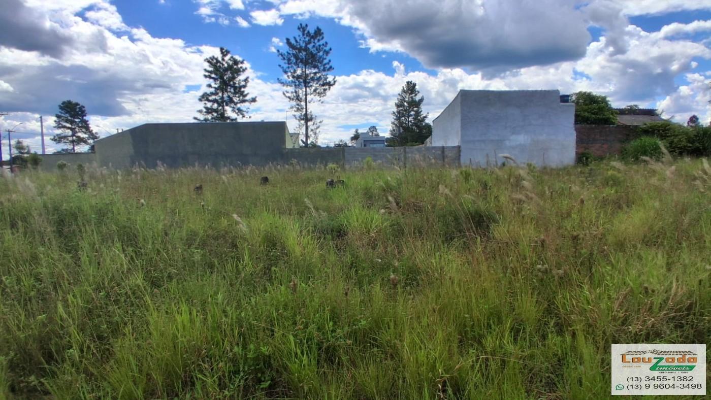 Terreno, 250 m² - Foto 3