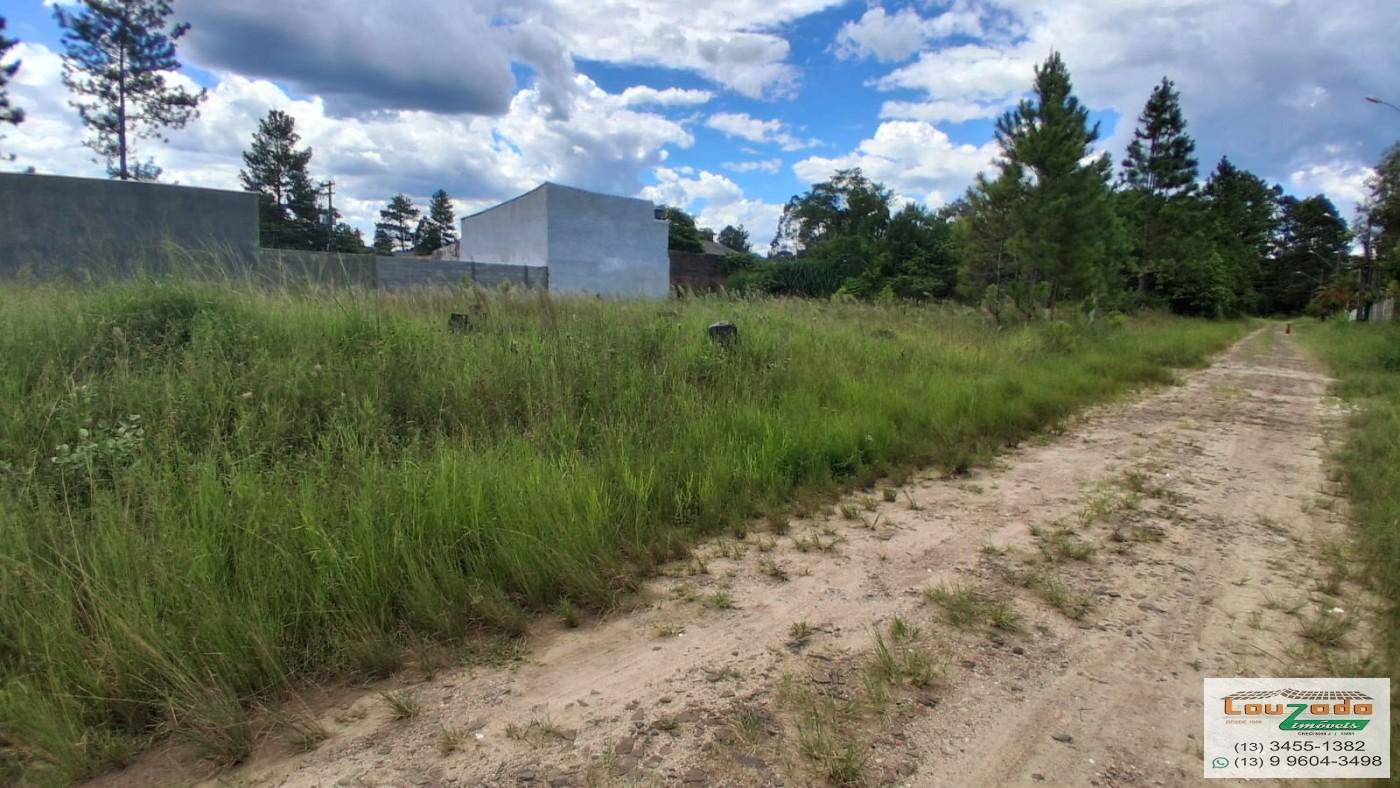 Terreno, 250 m² - Foto 2